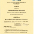 Powiększ obraz: certificate 5