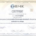 Powiększ obraz: certificate 5