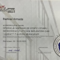 Powiększ obraz: certificate 8