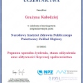 Powiększ obraz: certificate 2