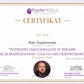 Powiększ obraz: certificate 9