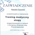 Powiększ obraz: certificate 11