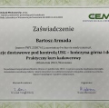 Powiększ obraz: certificate 7