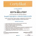 Powiększ obraz: certificate 10