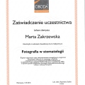 Powiększ obraz: certificate 2
