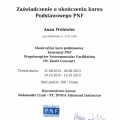 Powiększ obraz: certificate 13
