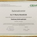 Powiększ obraz: certificate 4