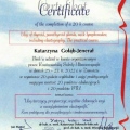 Powiększ obraz: certificate 3