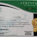 Powiększ obraz: certificate 45