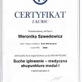 Powiększ obraz: certificate 6