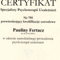 Powiększ obraz: certificate 1