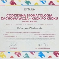 Powiększ obraz: certificate 2