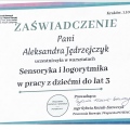 Powiększ obraz: certificate 1