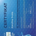 Powiększ obraz: certificate 4
