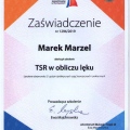 Powiększ obraz: certificate 4