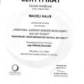 Powiększ obraz: certificate 3