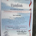 Powiększ obraz: certificate 2