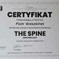 Powiększ obraz: certificate 8