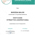 Powiększ obraz: certificate 7