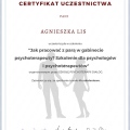 Powiększ obraz: certificate 17