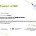 Powiększ obraz: certificate 3