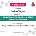 Powiększ obraz: certificate 28