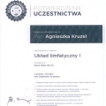 Powiększ obraz: certificate 5