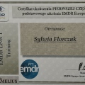 Powiększ obraz: certificate 1