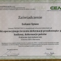 Powiększ obraz: certificate 7