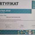 Powiększ obraz: certificate 18