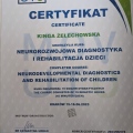 Powiększ obraz: certificate 2