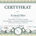 Powiększ obraz: certificate 9