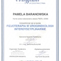 Powiększ obraz: certificate 4