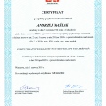 Powiększ obraz: certificate 1