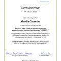 Powiększ obraz: certificate 2