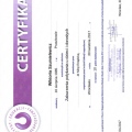 Powiększ obraz: certificate 6