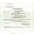 Powiększ obraz: certificate 3