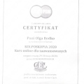 Powiększ obraz: certificate 1