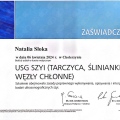 Powiększ obraz: certificate 5