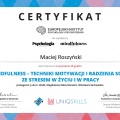 Powiększ obraz: certificate 3