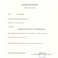 Powiększ obraz: certificate 111