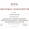 Powiększ obraz: certificate 6