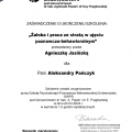 Powiększ obraz: certificate 6