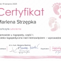 Powiększ obraz: certificate 5