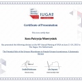 Powiększ obraz: certificate 8