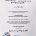 Powiększ obraz: certificate 11