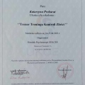 Powiększ obraz: certificate 2
