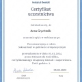 Powiększ obraz: certificate 6