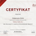 Powiększ obraz: certificate 40