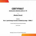 Powiększ obraz: certificate 11